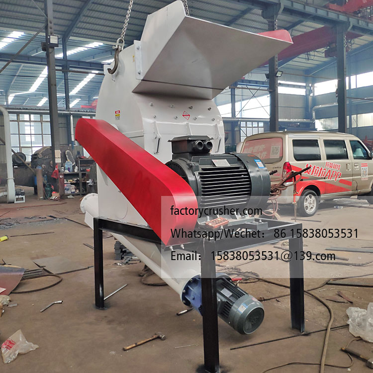 Conveyor belt feeding straw crusher