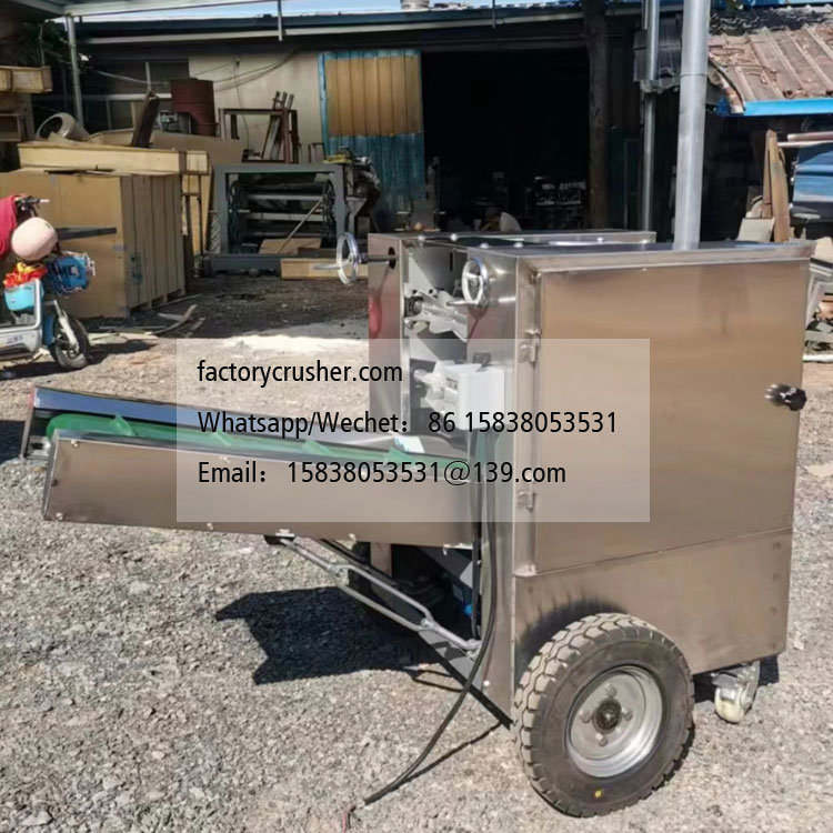 Coconut Peeling Machine