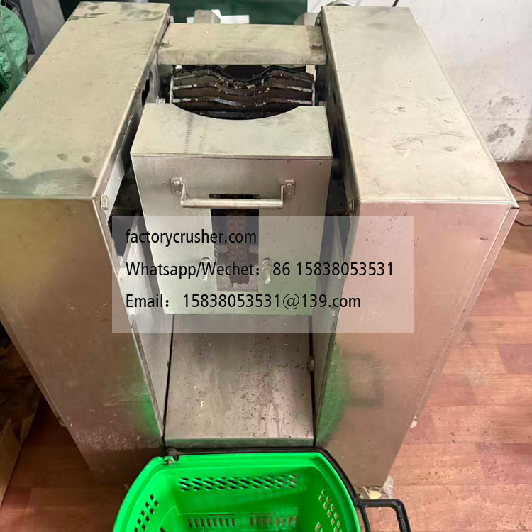 Coconut Peeling Machine