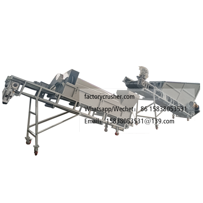 Forklift-fed waste mushroom bag shredder, edible mushroom substrate crushing and separation machine.